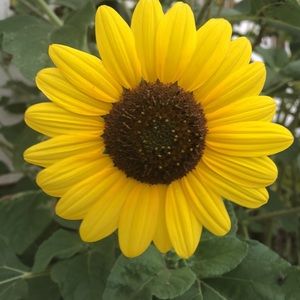 Meet your Posher, Keneesha